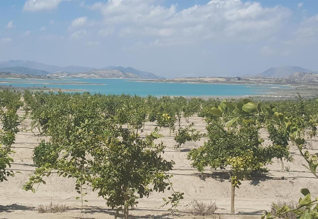 Very Nice Apartment With See Views Dehesa de Campoamor  المظهر الخارجي الصورة